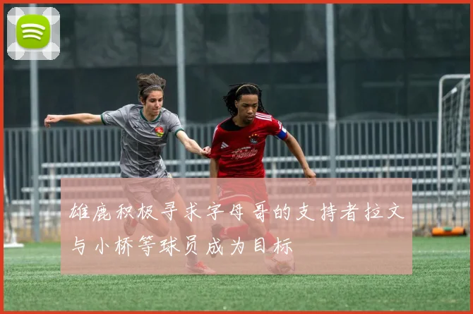 雄鹿积极寻求字母哥的支持者拉文与小桥等球员成为目标