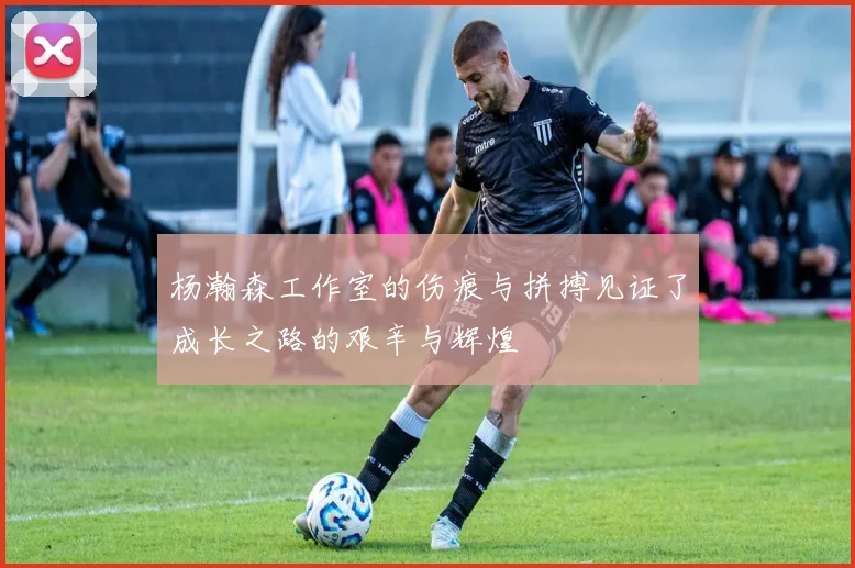 杨瀚森工作室的伤痕与拼搏见证了成长之路的艰辛与辉煌
