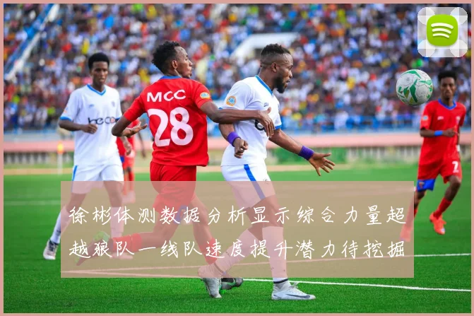徐彬体测数据分析显示综合力量超越狼队一线队速度提升潜力待挖掘
